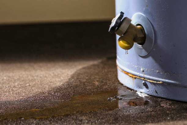 Best Flooded house restoration  in Granger, TX
