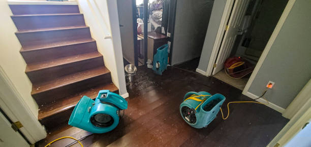 Best Emergency water damage restoration  in Granger, TX