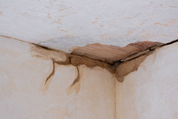 Best Carpet water damage restoration  in Granger, TX