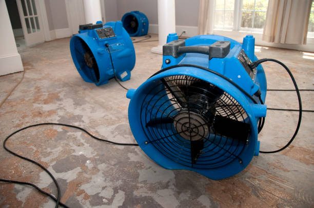 Best Flood damage cleanup  in Granger, TX