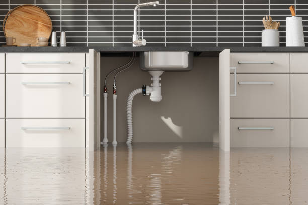 Best Water damage contractors near me  in Granger, TX
