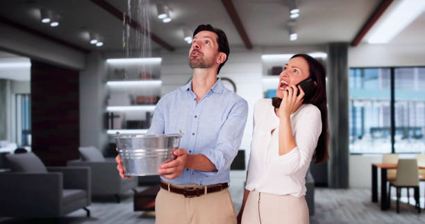 Best Ceiling water damage repair  in Granger, TX